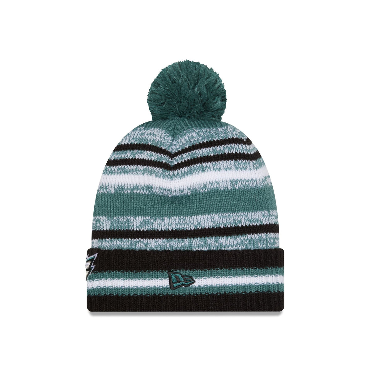 Philadelphia Eagles Cheer Pom Knit Hat