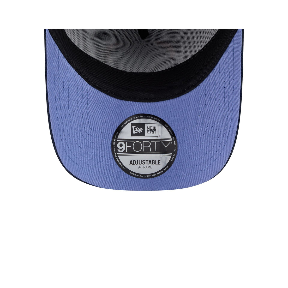 Detroit Tigers Day of the Dead 9FORTY A-Frame Snapback Hat