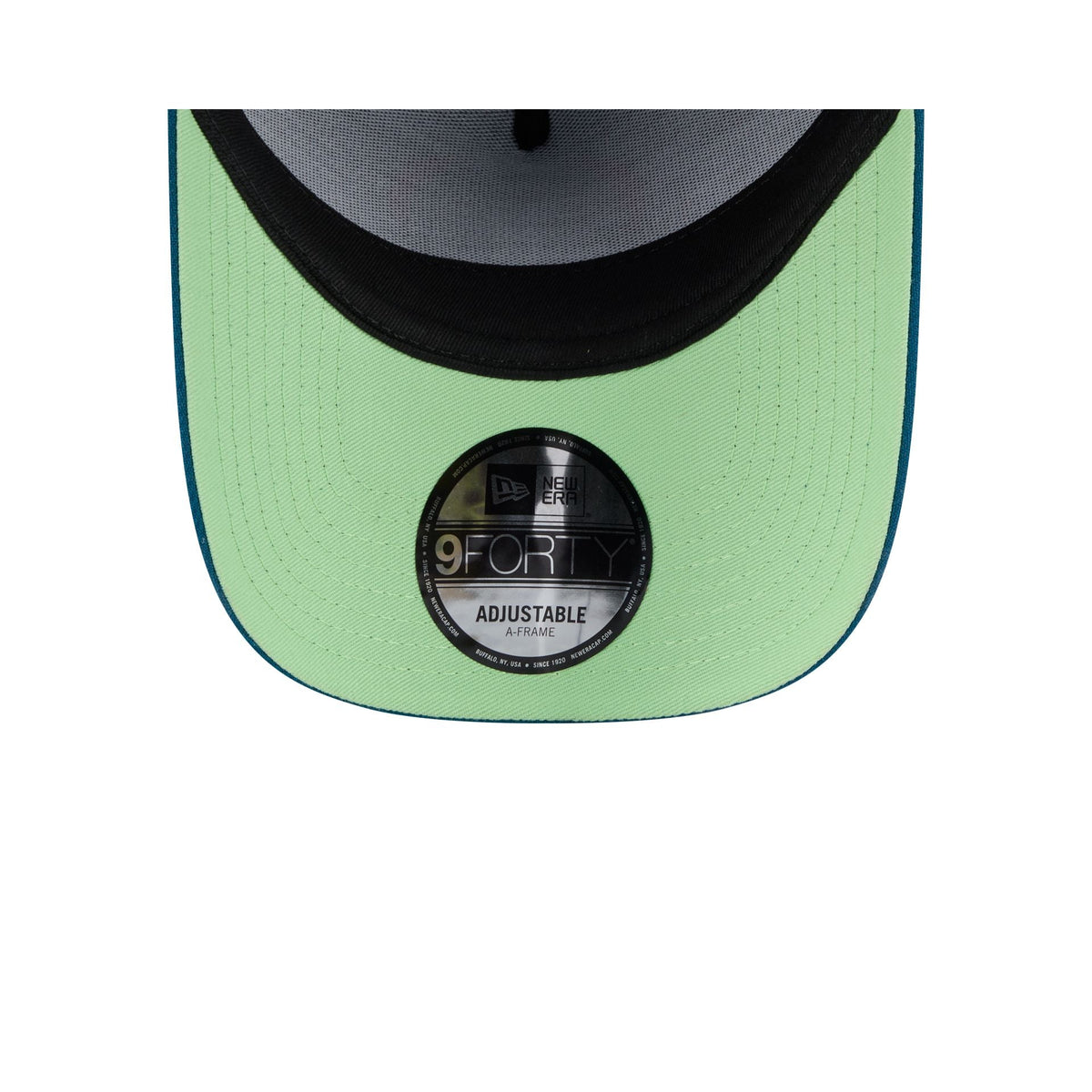 Los Angeles Dodgers Day of the Dead 9FORTY A-Frame Snapback Hat