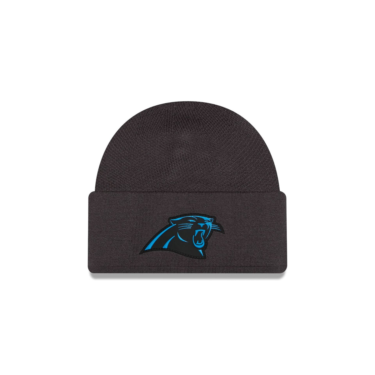Carolina Panthers 2026 Sideline Cold Weather Skully Hat