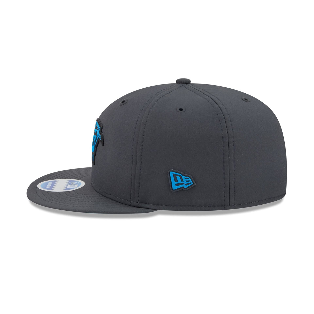 Carolina Panthers 2026 Sideline Cold Weather 9FIFTY Snapback Hat