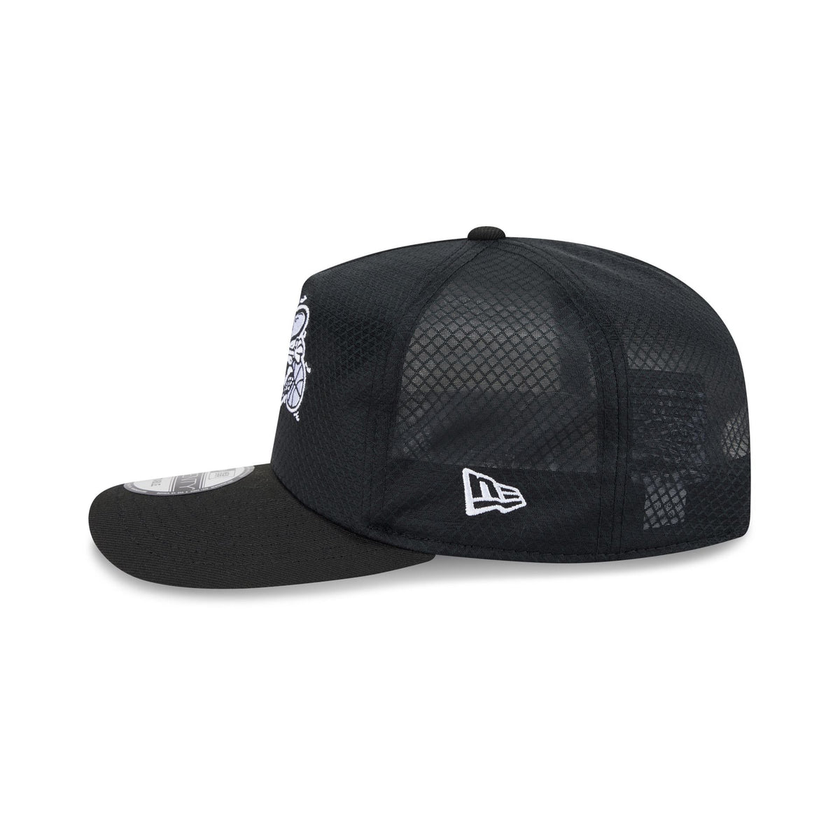 Charlotte Hornets Black & White Mesh 19TWENTY Trucker Hat