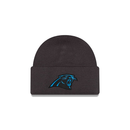 Carolina Panthers 2026 Sideline Cold Weather Skully Hat