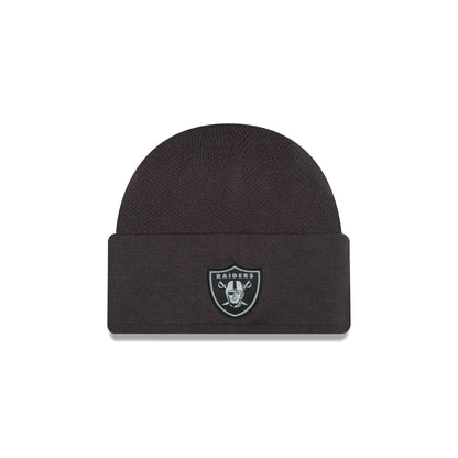 Las Vegas Raiders 2026 Sideline Cold Weather Skully Hat
