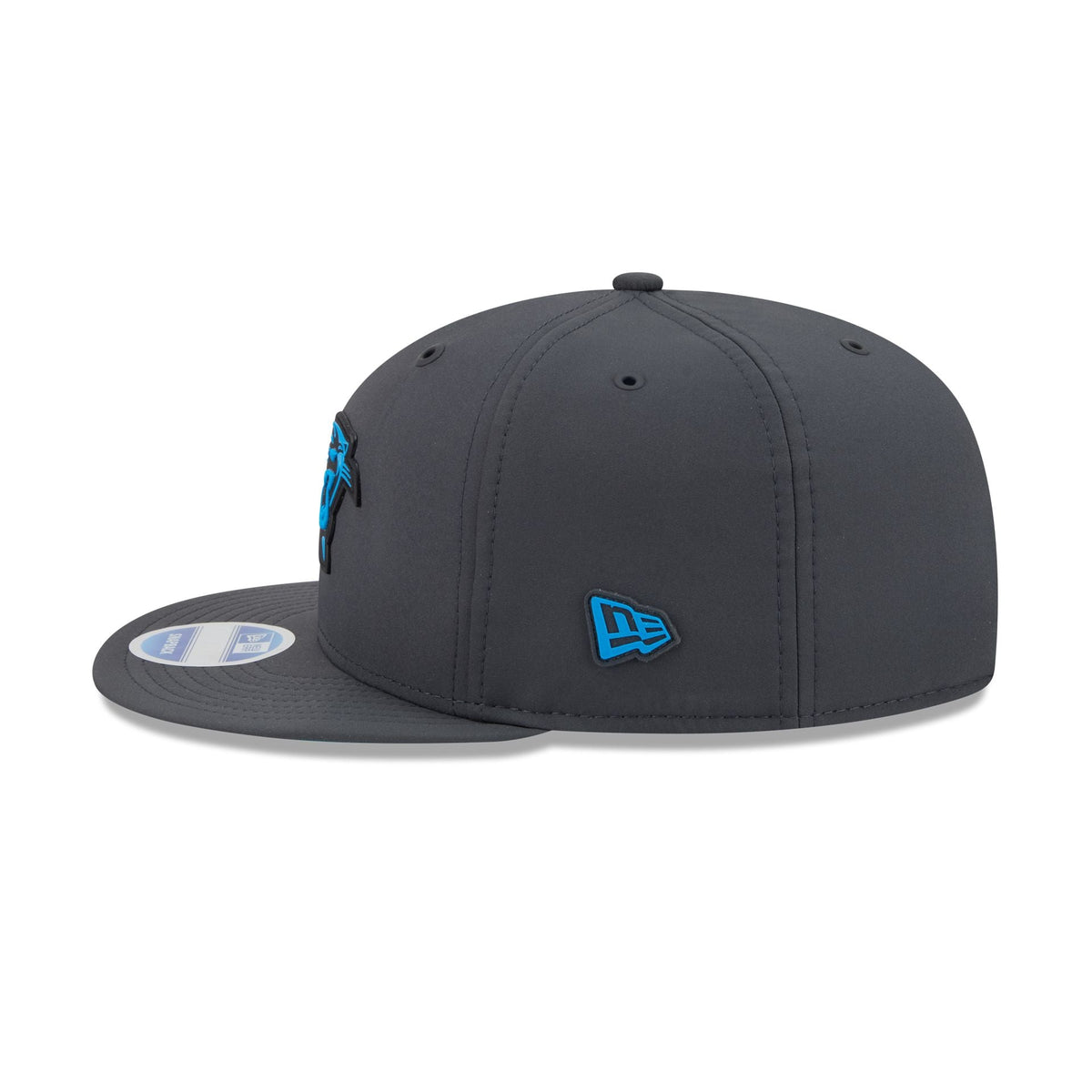 Carolina Panthers 2026 Sideline Cold Weather 9FIFTY Snapback Hat