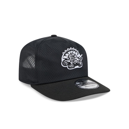 Toronto Raptors Black & White Mesh 19TWENTY Trucker Hat