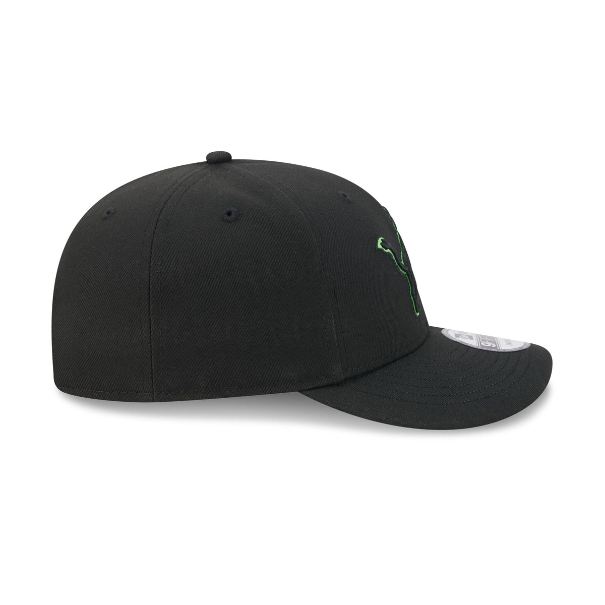 Detroit Lions Brains 9FIFTY Snapback Hat