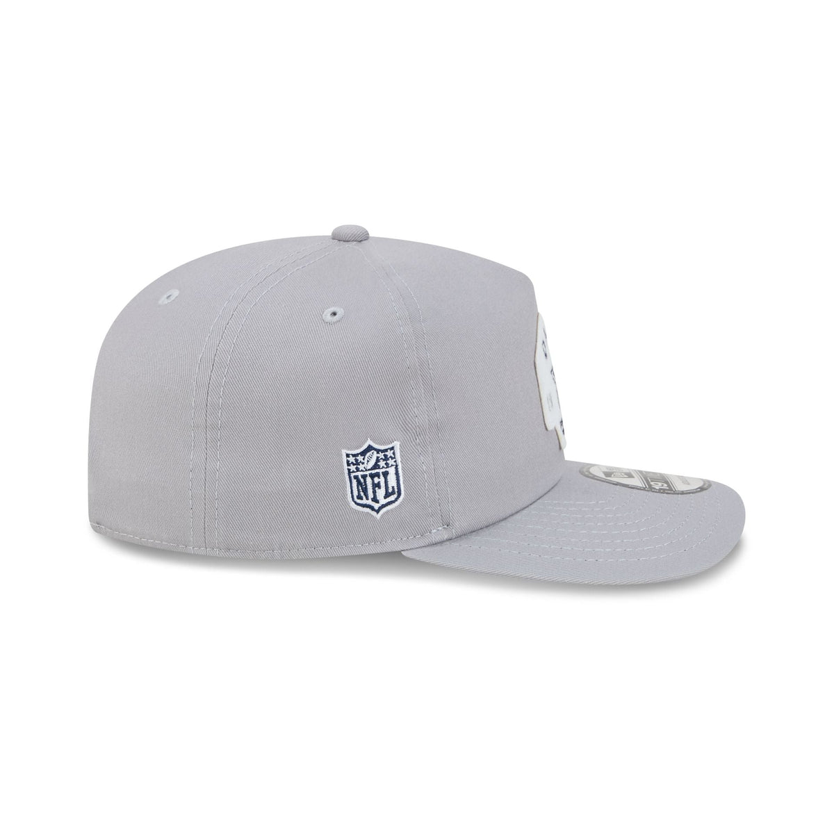 Dallas Cowboys Felt Patch Gray 19TWENTY Snapback Hat